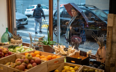 LABORE TXINGUDIK 3 URTE