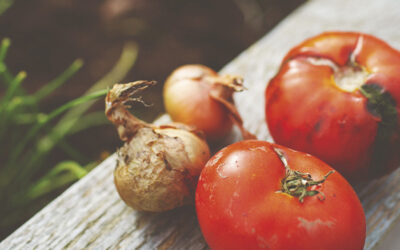 GOGOKO ALDATSAN, NEKERIK EZ