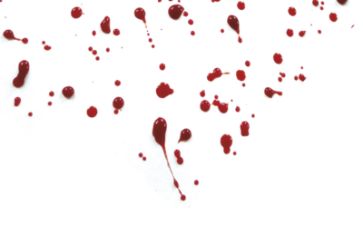 GORPUTZAK (ETA OBULAZIOA) ERDIGUNEAN!