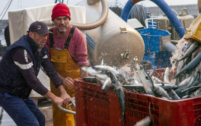 ARRAINA EUSKAL DISEINUAN