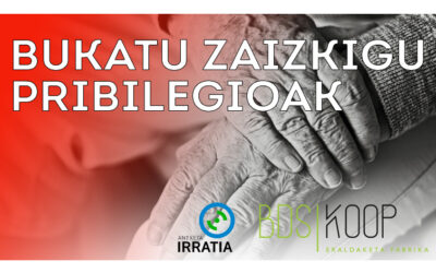 Nork zaintzen gaitu?