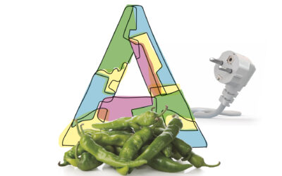 EKONOMIA AUZOGINTZAREN MESEDETAN?