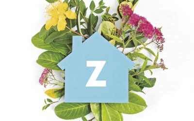 ZAINTZARAKO ARKITEKTURAK