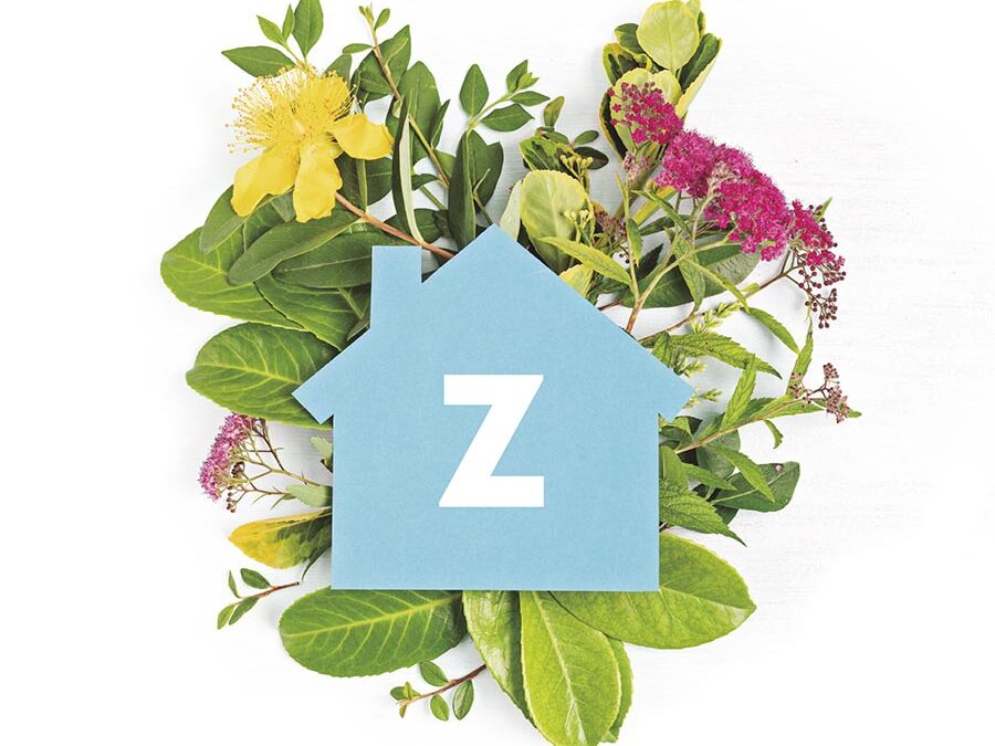 ZAINTZARAKO ARKITEKTURAK