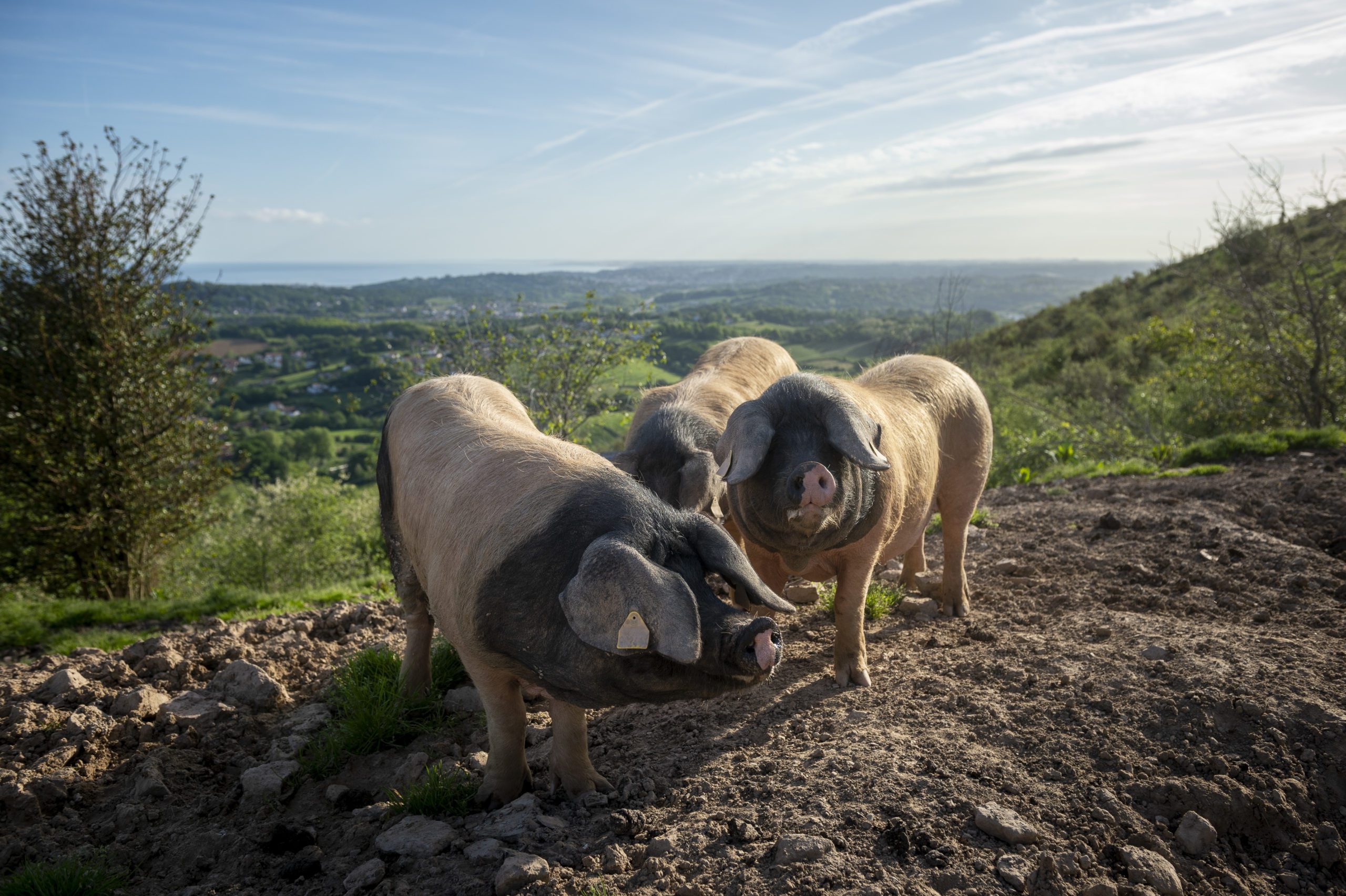 (Gari Garaialde / Bostok Photo)